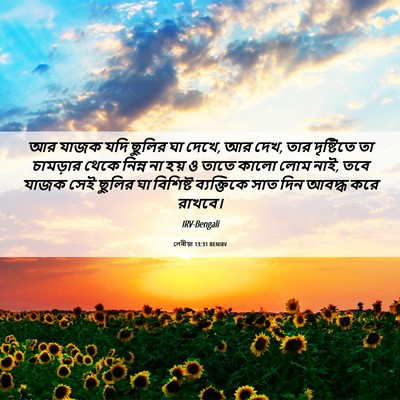 Picture 06 - লেবীয়া 13:31 BENIRV - আর যাজক যদি ছুলির - Bible Verse Picture