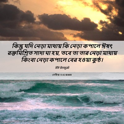Picture 06 - লেবীয়া 13:42 BENIRV - কিন্তু যদি নেড়া - Bible Verse Picture