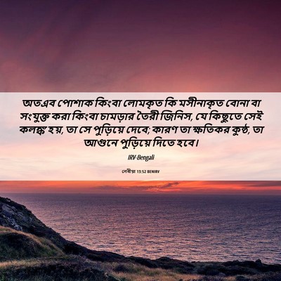 Picture 06 - লেবীয়া 13:52 BENIRV - অতএব পোশাক কিংবা - Bible Verse Picture