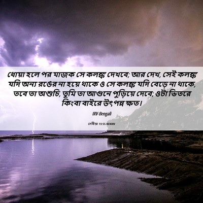Picture 06 - লেবীয়া 13:55 BENIRV - ধোয়া হলে পর যাজক - Bible Verse Picture