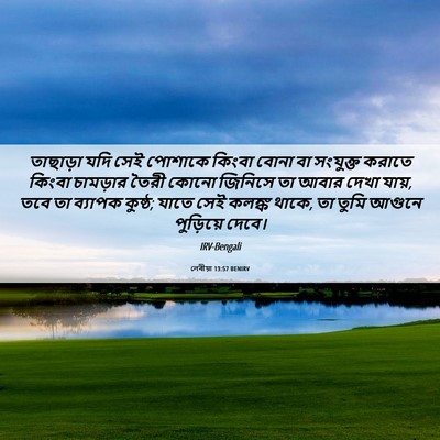 Picture 06 - লেবীয়া 13:57 BENIRV - তাছাড়া যদি সেই - Bible Verse Picture