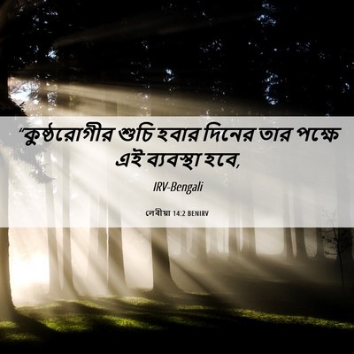 Picture 06 - লেবীয়া 14:2 BENIRV - “কুষ্ঠরোগীর শুচি - Bible Verse Picture