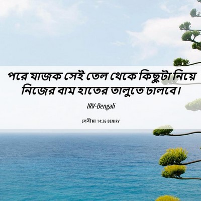 Picture 06 - লেবীয়া 14:26 BENIRV - পরে যাজক সেই তেল - Bible Verse Picture