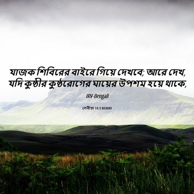 Picture 06 - লেবীয়া 14:3 BENIRV - যাজক শিবিরের - Bible Verse Picture