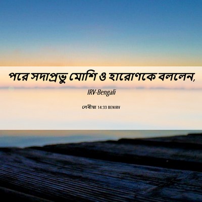 Picture 06 - লেবীয়া 14:33 BENIRV - পরে সদাপ্রভু মোশি - Bible Verse Picture