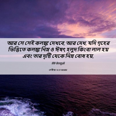 Picture 06 - লেবীয়া 14:37 BENIRV - আর সে সেই কলঙ্ক - Bible Verse Picture