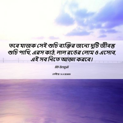 Picture 06 - লেবীয়া 14:4 BENIRV - তবে যাজক সেই শুচি - Bible Verse Picture