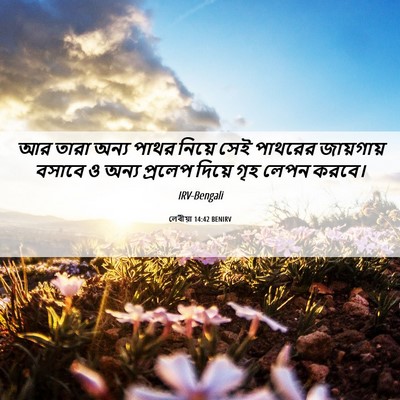 Picture 06 - লেবীয়া 14:42 BENIRV - আর তারা অন্য পাথর - Bible Verse Picture