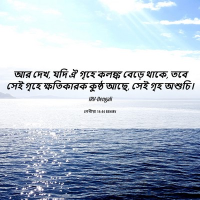 Picture 06 - লেবীয়া 14:44 BENIRV - আর দেখ, যদি ঐ গৃহে - Bible Verse Picture