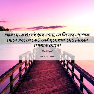 Picture 06 - লেবীয়া 14:47 BENIRV - আর যে কেউ সেই গৃহে - Bible Verse Picture