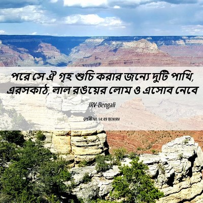 Picture 06 - লেবীয়া 14:49 BENIRV - পরে সে ঐ গৃহ শুচি - Bible Verse Picture