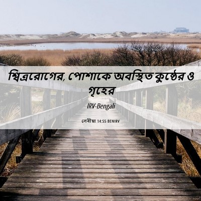 Picture 06 - লেবীয়া 14:55 BENIRV - শ্বিত্ররোগের, - Bible Verse Picture