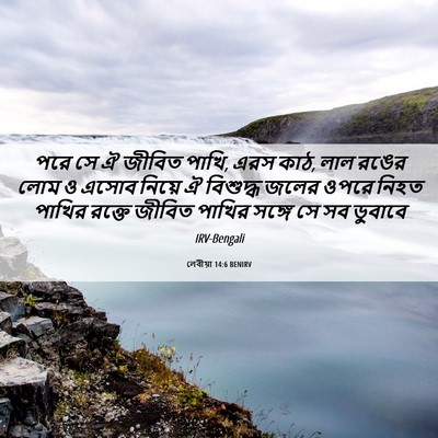 Picture 06 - লেবীয়া 14:6 BENIRV - পরে সে ঐ জীবিত - Bible Verse Picture