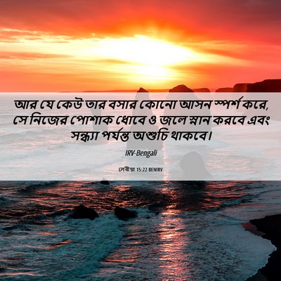 Picture 06 - লেবীয়া 15:22 BENIRV - আর যে কেউ তার বসার - Bible Verse Picture