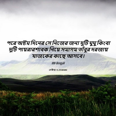Picture 06 - লেবীয়া 15:29 BENIRV - পরে অষ্টম দিনের সে - Bible Verse Picture