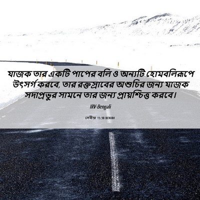 Picture 06 - লেবীয়া 15:30 BENIRV - যাজক তার একটি - Bible Verse Picture