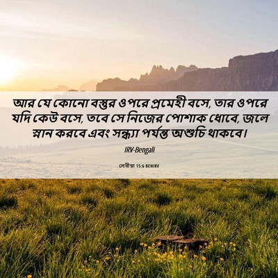 Picture 06 - লেবীয়া 15:6 BENIRV - আর যে কোনো বস্তুর - Bible Verse Picture
