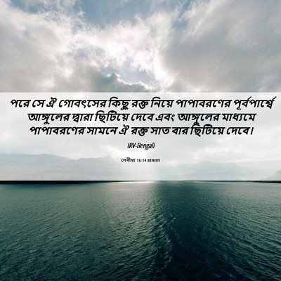 Picture 06 - লেবীয়া 16:14 BENIRV - পরে সে ঐ গোবৎসের - Bible Verse Picture