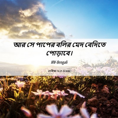 Picture 06 - লেবীয়া 16:25 BENIRV - আর সে পাপের বলির - Bible Verse Picture