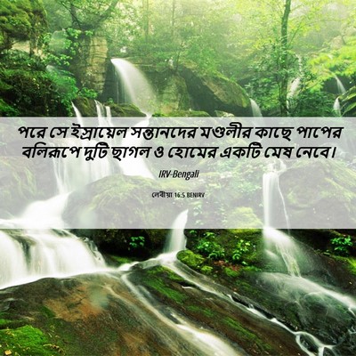 Picture 06 - লেবীয়া 16:5 BENIRV - পরে সে ইস্রায়েল - Bible Verse Picture