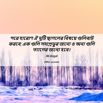 Picture 06 - লেবীয়া 16:8 BENIRV - পরে হারোণ ঐ দুটি - Bible Verse Picture