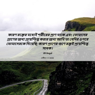 Picture 06 - লেবীয়া 17:11 BENIRV - কারণ রক্তের - Bible Verse Picture