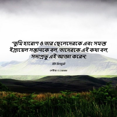 Picture 06 - লেবীয়া 17:2 BENIRV - “তুমি হারোণ ও তার - Bible Verse Picture