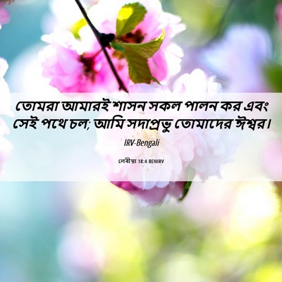 Picture 06 - লেবীয়া 18:4 BENIRV - তোমরা আমারই শাসন - Bible Verse Picture