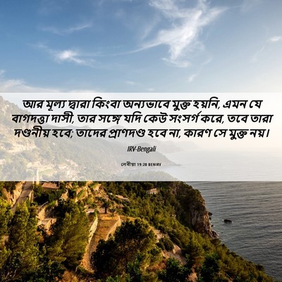 Picture 06 - লেবীয়া 19:20 BENIRV - আর মূল্য দ্বারা - Bible Verse Picture