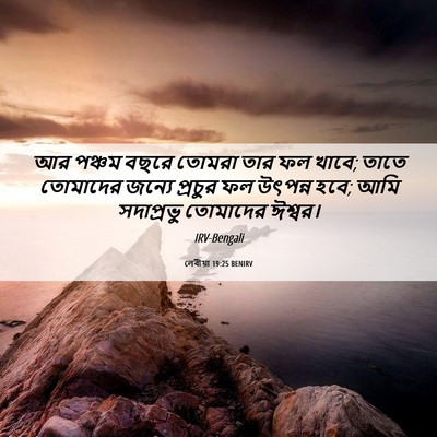 Picture 06 - লেবীয়া 19:25 BENIRV - আর পঞ্চম বছরে - Bible Verse Picture