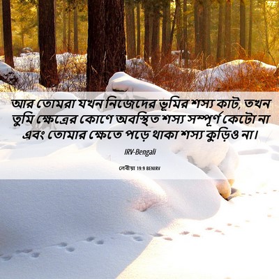 Picture 06 - লেবীয়া 19:9 BENIRV - আর তোমরা যখন - Bible Verse Picture