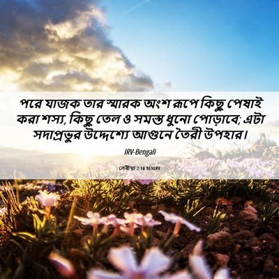 Picture 06 - লেবীয়া 2:16 BENIRV - পরে যাজক তার - Bible Verse Picture