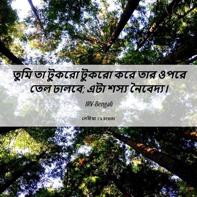 Picture 06 - লেবীয়া 2:6 BENIRV - তুমি তা টুকরো - Bible Verse Picture