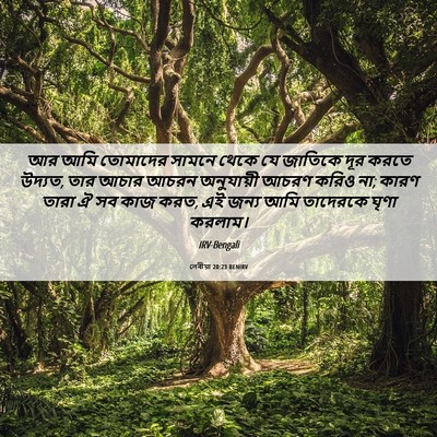 Picture 06 - লেবীয়া 20:23 BENIRV - আর আমি তোমাদের - Bible Verse Picture