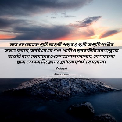 Picture 06 - লেবীয়া 20:25 BENIRV - অতএব তোমরা শুচি - Bible Verse Picture