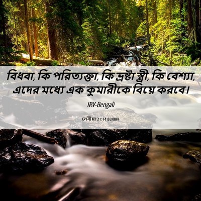 Picture 06 - লেবীয়া 21:14 BENIRV - বিধবা, কি - Bible Verse Picture
