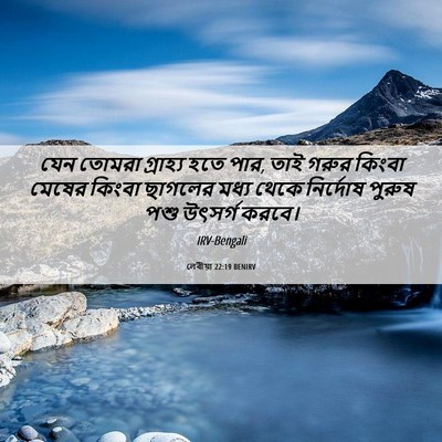 Picture 06 - লেবীয়া 22:19 BENIRV - যেন তোমরা গ্রাহ্য - Bible Verse Picture