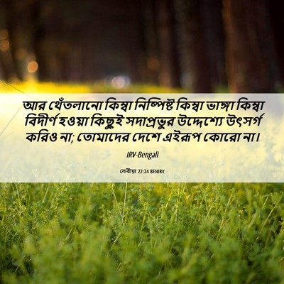 Picture 06 - লেবীয়া 22:24 BENIRV - আর থেঁতলানো - Bible Verse Picture