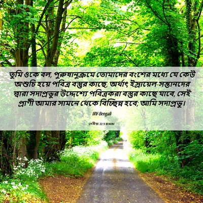 Picture 06 - লেবীয়া 22:3 BENIRV - তুমি ওকে বল, - Bible Verse Picture