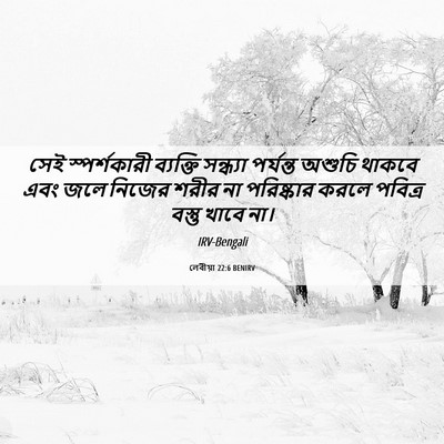 Picture 06 - লেবীয়া 22:6 BENIRV - সেই স্পর্শকারী - Bible Verse Picture