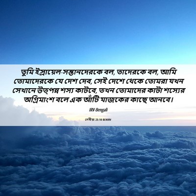 Picture 06 - লেবীয়া 23:10 BENIRV - তুমি - Bible Verse Picture