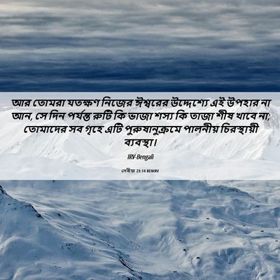 Picture 06 - লেবীয়া 23:14 BENIRV - আর তোমরা যতক্ষণ - Bible Verse Picture