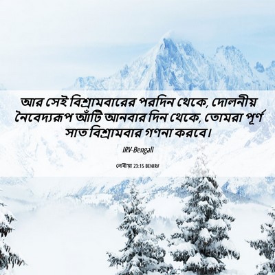Picture 06 - লেবীয়া 23:15 BENIRV - আর সেই - Bible Verse Picture