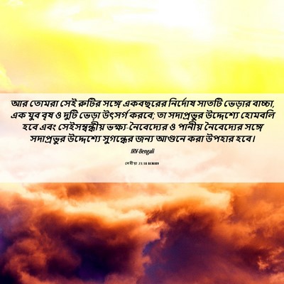 Picture 06 - লেবীয়া 23:18 BENIRV - আর তোমরা সেই রুটির - Bible Verse Picture