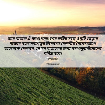 Picture 06 - লেবীয়া 23:20 BENIRV - আর যাজক ঐ - Bible Verse Picture