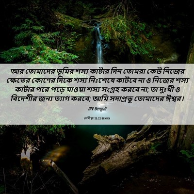 Picture 06 - লেবীয়া 23:22 BENIRV - আর তোমাদের ভূমির - Bible Verse Picture