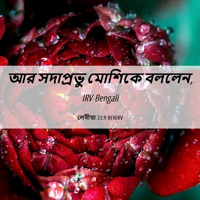 Picture 06 - লেবীয়া 23:9 BENIRV - আর সদাপ্রভু - Bible Verse Picture