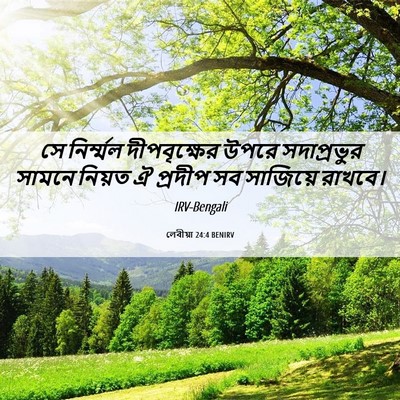Picture 06 - লেবীয়া 24:4 BENIRV - সে নির্ম্মল - Bible Verse Picture