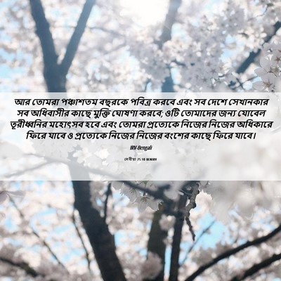 Picture 06 - লেবীয়া 25:10 BENIRV - আর তোমরা পঞ্চাশতম - Bible Verse Picture
