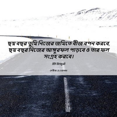 Picture 06 - লেবীয়া 25:3 BENIRV - ছয় বছর তুমি নিজের - Bible Verse Picture